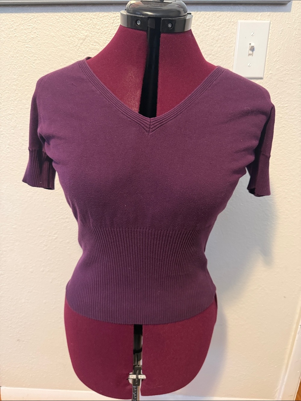 The Limited Plum V-Neck Short Sleeve Crop Top